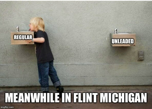 Can Soluble Zeolite Help Flint Residents Decrease Impacts of Lead Toxicity?