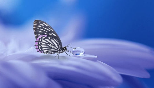 Soluble Zeolite Aids Miraculous Recovery of 86-year-old Cancer Patient