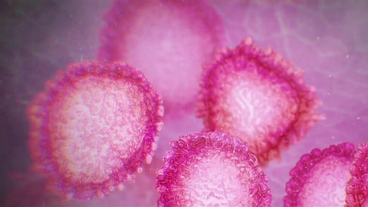 Heavy Metals, Immune Function and Resistance to Viral Infection: