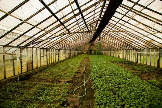 Environmentally-Caused Disease Crisis?