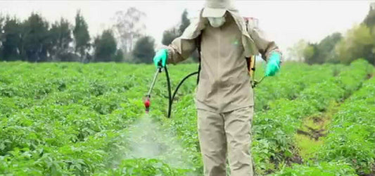 Combatting Glyphosate Exposure with Soluble Zeolite
