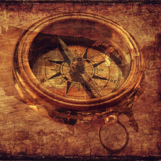 Circadian Detoxification: Why When You Do Things May Matter as Much as What You Do