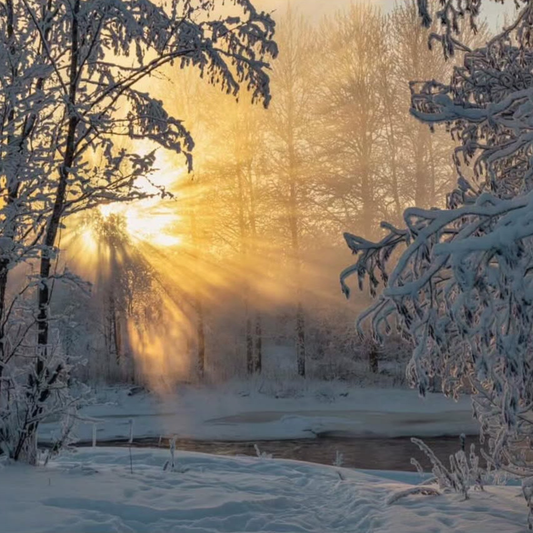 A Healthy Reset After the Holidays