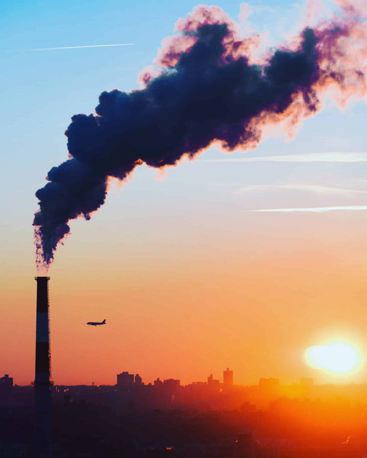 What’s Pollution Got to Do With it? Two New Studies Connect Environmental Toxins to Heart Disease