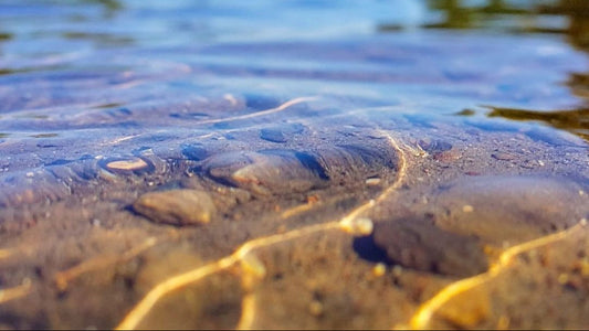 The Rise of Toxins and the Path Toward Cleaner Living