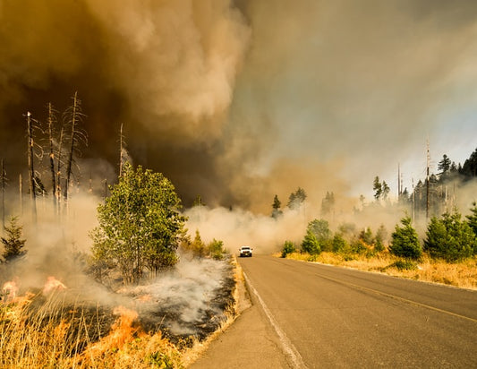 How to Protect Yourself and Boost Immune Function During Wildfire Season